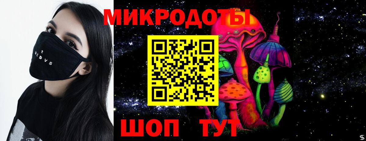 купить закладку  Вход с VPN  Унеча  Псилоцибиновые грибы Cubensis 