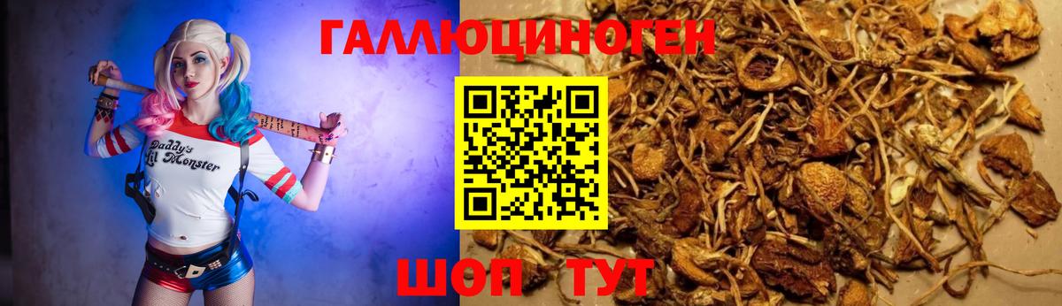 Галлюциногенные грибы ЛСД Унеча